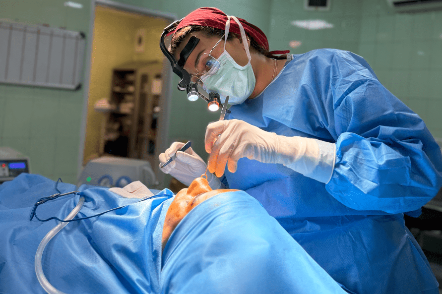 About Dr. Tayebeh Ghasemi